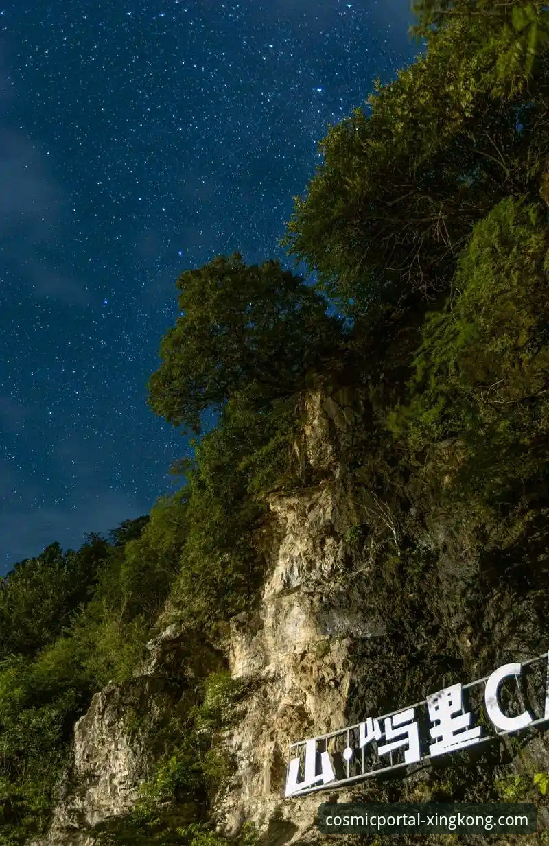 星空入口最新版 星空入口最新版深度评测:从下载到上手,这份保姆级指南请收好