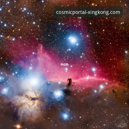 星空入口最新版使用指南 资深用户实测分享:星空入口最新版使用指南与实战经验