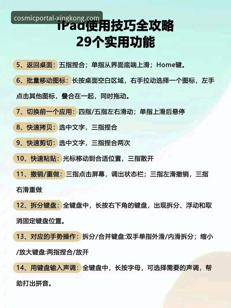 星空入口平台使用教程：从新手到高手的完整操作指南